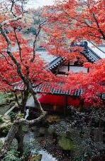 成年日韩片av在线网站-成年日韩片AV在线网站，网络世界的灰色地带与信息甄别