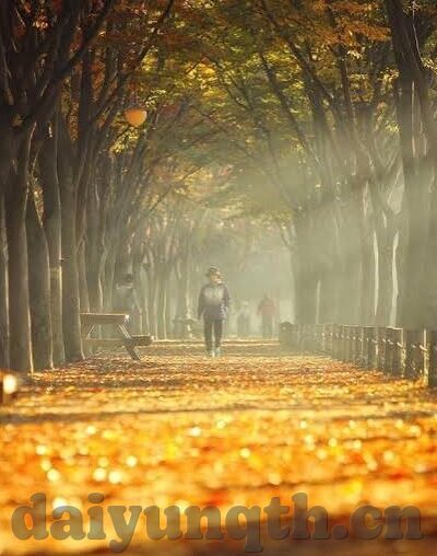 大象传媒饶舌团-大象传媒饶舌团，音乐潮流中的独特风景