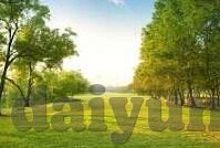 果冻传媒在线播放免费-探索果冻传媒，在线免费播放的精彩世界
