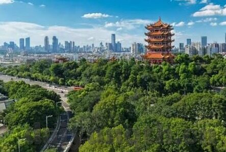 久久精品国产亚洲av麻豆澳小说-光影背后的民族文化探寻——久久精品国产亚洲av麻豆澳小说中的文化洞见