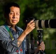 麻豆av传媒在线播放-麻豆AV传媒，在线内容与网络文化的交融