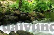麻豆传媒林予曦视频-文艺之光，麻豆传媒林予曦与短视频的艺术探讨