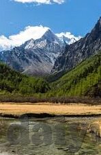 麻豆传媒视频国产之光下载-麻豆现象，国产内容的铿锵玫瑰与数字时代的艺术奇景