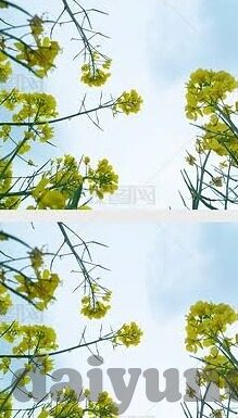 麻豆传媒一区-揭示麻豆传媒一区的多重面向，网络文化的多棱镜