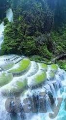 麻豆传媒 在线播放-麻豆传媒，在线流媒体新时代的探索