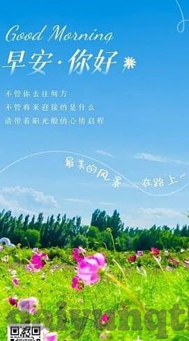麻豆xx视频-聚焦麻豆，后现代网络视频的多元视角与影响