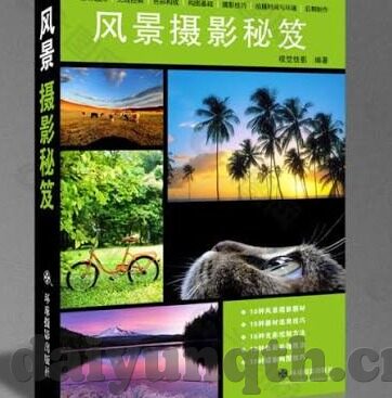 人妻是什么-探寻人妻的细腻世界，爱与责任的交织