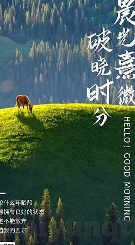 糖心vlog在线破解版-警惕网络风险，远离糖心vlog在线破解版